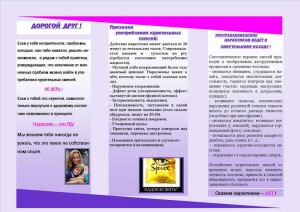 Buklet1 2