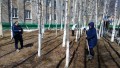 Чистый город