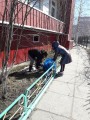Чистый город