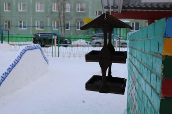 IMG 8447