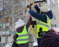 Teplij gorod Dou 15 2