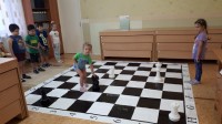Chess Dou 29 1