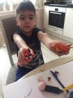 bird day Dou 56 8