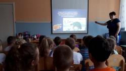 polar bear Dou 56 9