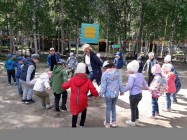 Olimpik Dou 31 11