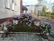 Ugra park Dou 38 2