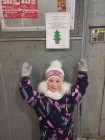 Christmas tree Dou 47 5