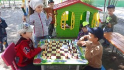 Chess Dou 56 5