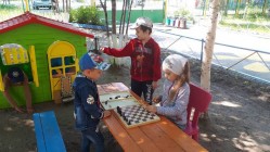 Chess Dou 56 8