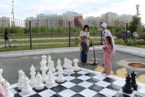 Chess Dou 68 1