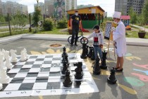 Chess Dou 68 2