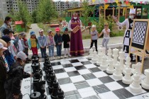 Chess Dou 68 5
