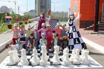 Chess Dou 68 9