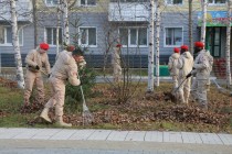 Osen Patriot 4