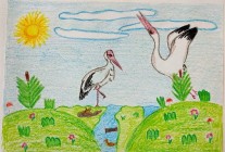 Nature CDT 1