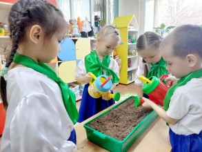 доу15 eco 3