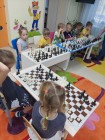chess Dou 86 2