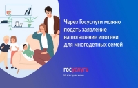 450 000 ₽ на погашение ипотеки можно оформить на Госуслугах