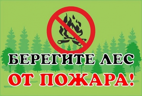 Сохраним лес от пожара