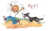 Осторожно бродячие собаки!