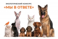 Братья наши меньшие, мы за вас в ответе!