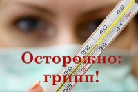 Осторожно! Грипп!