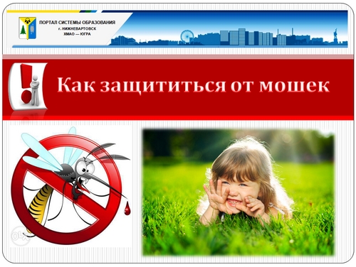 Как защититься от мошек.