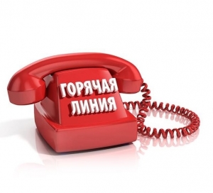 Горячая линия по вопросам качества и безопасности детских товаров, выбору новогодних подарков