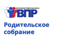 О ВПР &ndash; в режиме ВКС