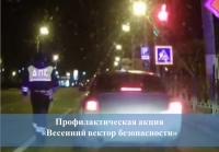 Профилактическая акция &laquo;Весенний вектор безопасности&raquo;