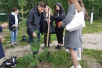 Экологическая акция &laquo;Дерево знаний&raquo;