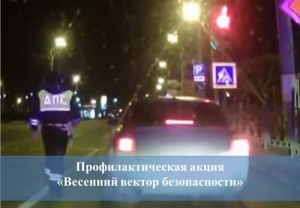 Весенний вектор безопасности