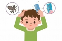 Педикулез: симптомы, лечение и профилактика
