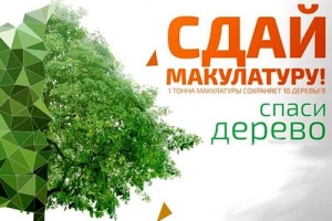Сбор макулатуры в школе №14