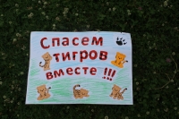 29 июля &ndash; Международный день тигра