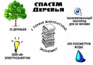 Спаси дерево &ndash; сдай макулатуру!