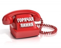 Горячая линия по вопросам организации питания в школах