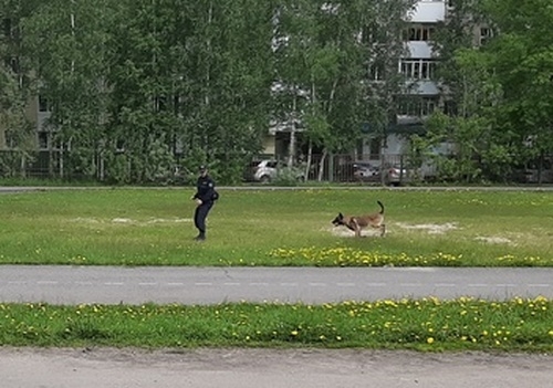 Безопасное поведение важно в любой ситуации