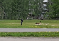 Безопасное поведение важно в любой ситуации