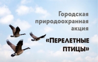 Присоединяйтесь к акции &laquo;Перелетные птицы&raquo;