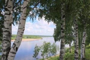 Белокурая берёза &ndash; символ Родины моей