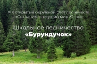 Школьное лесничество &laquo;Бурундучок&raquo; Центра детского творчества лучшее в Югре