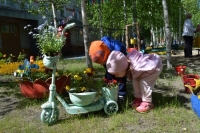Добавили лету красок!