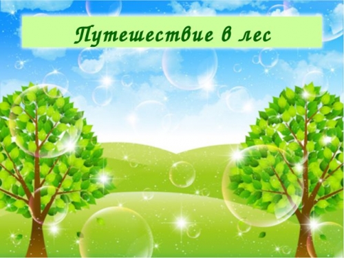 Путешествие в лес