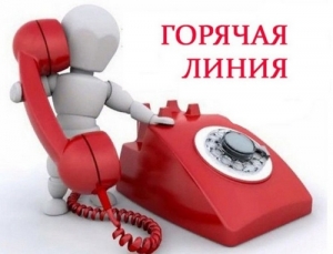 Организация питания в школах