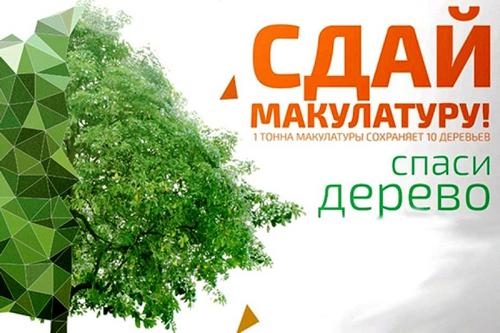 Важный вклад в сохранение лесов