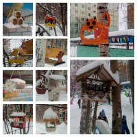 Формируем экологическую культуру у детей