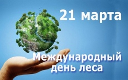 Путешествие в лес
