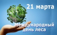 Путешествие в лес