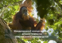 Идет прием работ на конкурс-выставку &laquo;Красная книга глазами детей&raquo;